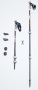 Bild: Leki Traveller Carbon