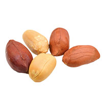 Die Erdnuss ist botanisch gesehen eigentlich eine Hülsenfrucht. Hätten Sie es gewusst? (Bild: Hong-Vo/shutterstock.com)