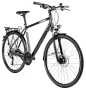 Bild: Raleigh Rushhour 3.0 DISC 
Herren