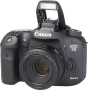 Bild: Canon EOS 7D Mark II + EF 50 mm 1.8 STM