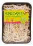 Bild: Strobl Sprossen aus der Mungbohne