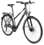 Bild: Raleigh Rushhour 3.0 DISC Damen