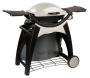 Bild: Weber Q 200 Premium mit Grillwagen 20001