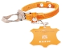 Bild: Das Lederband Hundehalsband Weinheim