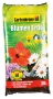 Bild: Gartenkrone Blumen Erde