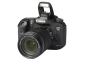Bild: Canon EOS 7D Mark II + EF-S 18-135mm 1:3.5-5.6 IS STM