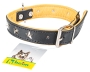 Bild: Heim Halsband Stars
