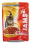 Bild: IAMS 